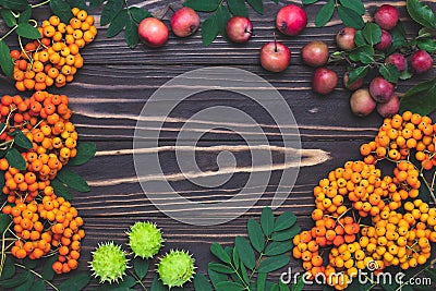 Autumn background, September mockup, template with copy space, harvest still life on dark board. Thanksgiving card, seasonal frame Stock Photo