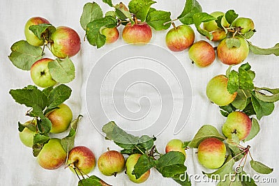 Autumn background of small apple and leaves on biege linen textile background. Empty space for text. Top view. Stock Photo