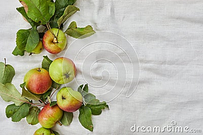 Autumn background of small apple and leaves on biege linen textile background. Empty space for text. Top view. Stock Photo