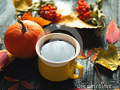 Autumn background for thanksgiving or seasonal holiday. Coffee mug, pumpkin and colorful leaves Stock Photo