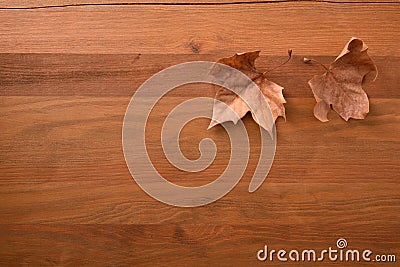 Autumn background with two dry brown leaves on wooden Stock Photo