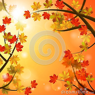 Autumn background Stock Photo