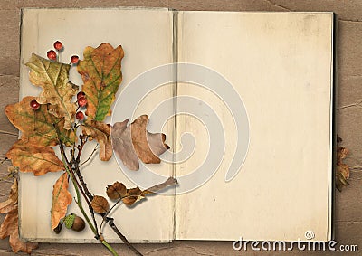 Autumn background. Vintage album with leaves Stock Photo