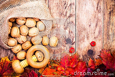 Autumn background with walnuts and colorful tree leaves. Stock Photo