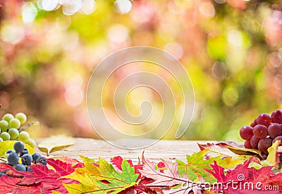 Autumn background with a whis autumn colorful leaves and beautiful sunny bokeh Stock Photo