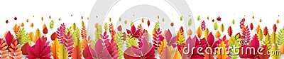 Autumn banner with fall leaves. Vector illustration Vector Illustration