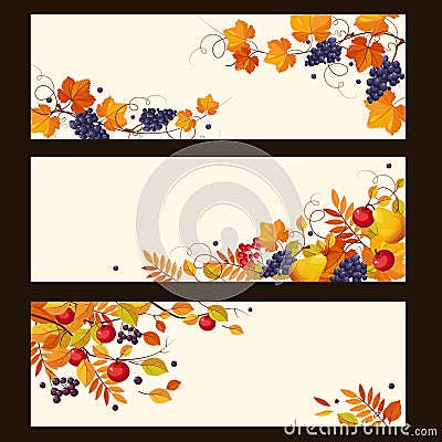 Autumn Banners with Ripe Berries and Leaves Vector Illustration