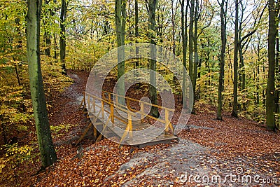 Autumn beatiful path with bridge and colorful leaves and trees. Stock Photo
