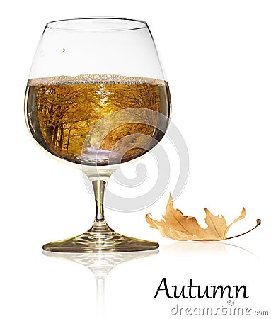 Autumn beauty Stock Photo