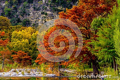 Autumn Beauty at Garner State Park, Texas Stock Photo