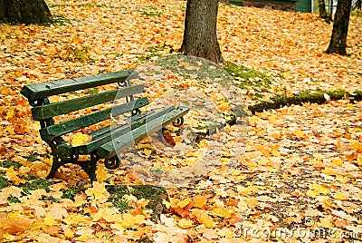 Autumn bench Stock Photo