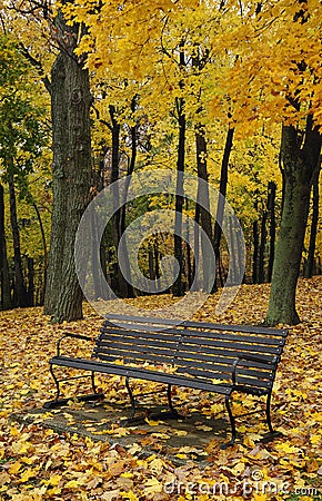 Autumn Bench Stock Photo
