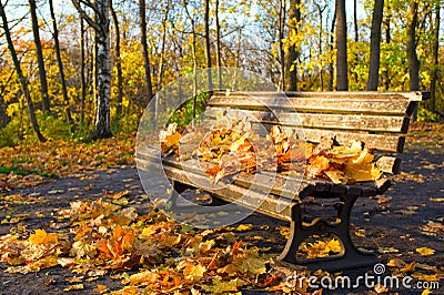 Autumn bench Stock Photo