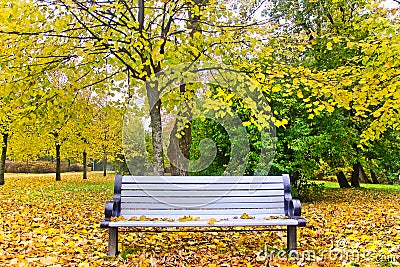 Autumn bench Stock Photo