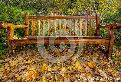 Autumn Bench Stock Photo