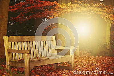 Autumn Bench Stock Photo