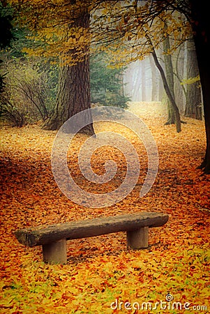 Autumn bench Stock Photo