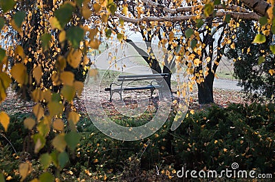 Autumn bench Stock Photo