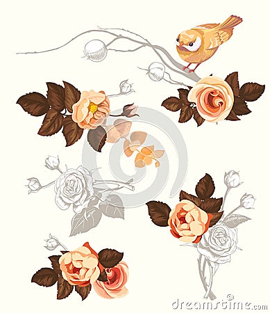 Autumn Bird Flower Branch Watercolor Decoration Kit for Invitation Card. Floral Summer Abstract Rose Bouquet with Vector Illustration