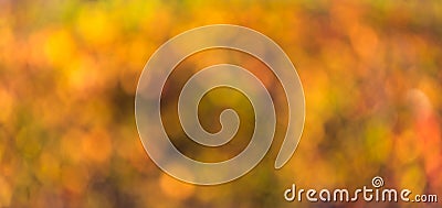 Autumn blurred abstract background Stock Photo