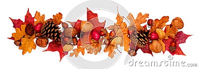 Autumn border of colorful fall leaves, nuts and pine cones, above view isolated on white Stock Photo