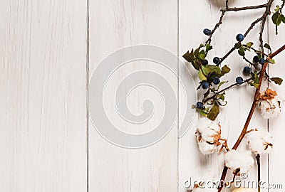 Autumn border of dried flowers on white wood, background Stock Photo