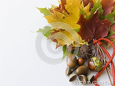 Autumn bouquet Stock Photo