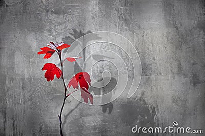 Autumn branch with red leaves on a concrete background. Minimalistic urban natural image. Stock Photo