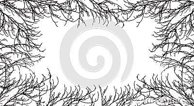 Autumn branches of trees silhouette, frame. Applied clipping mask. Vector illustration. Background for text Vector Illustration