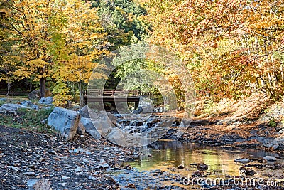 Autumn Bridge and Brook in Whetstone Gulf State Park Stock Photo
