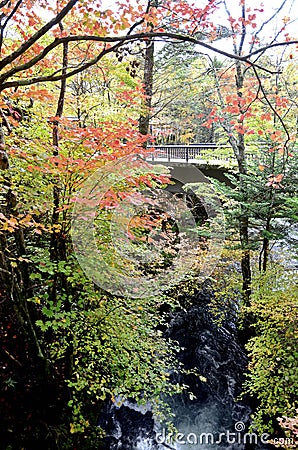 Autumn bridge Stock Photo