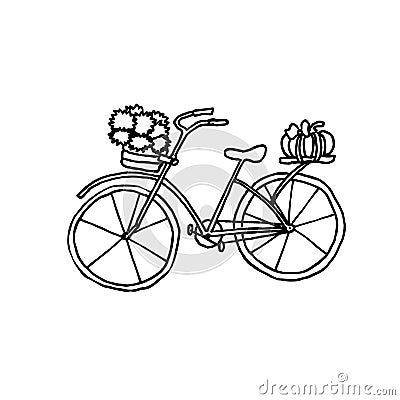 Autumn bycicle. Monochrome sketch, hand drawing. Black outline on white background. Vector illustration Vector Illustration