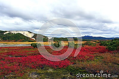 Autumn caldera of Uzon volcano. Kamchatka, Russia Stock Photo