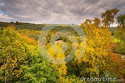 Autumn Canopy from Lambley Viaduct Stock Photo