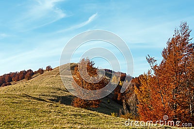 Autumn Carpathian mountain, Ukraine Stock Photo
