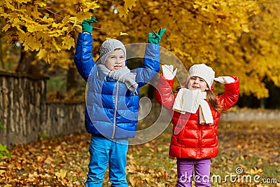 Autumn of the children in the park. Kids play in nature. Stock Photo