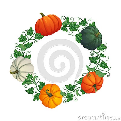 Autumn circular frame with multicolored pumpkins with vines and leaves. Vector Illustration