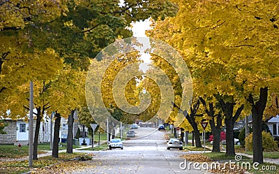 Autumn in the City, Homes, Houses, Neighborhood Stock Photo