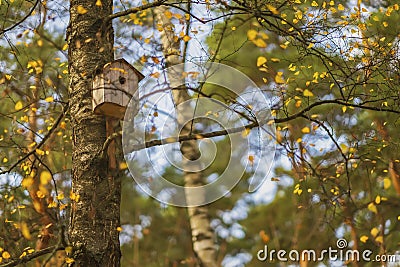 Autumn in the city park, an empty birdhouse, birds left it, flew to warm countries. Seasons, nostalgic mood concept Stock Photo