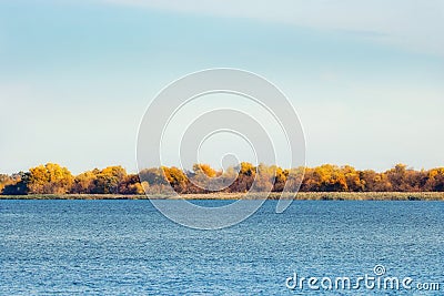 Autumn coast with yellow trees near the big river Stock Photo