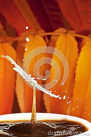 Autumn coffee with splash of milk Stock Photo