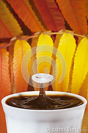 Autumn coffee with splash of milk Stock Photo