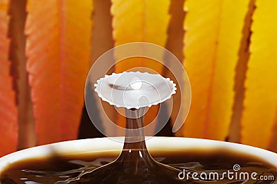 Autumn coffee with splash of milk Stock Photo