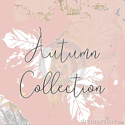 Autumn collection gold blush background Stock Photo