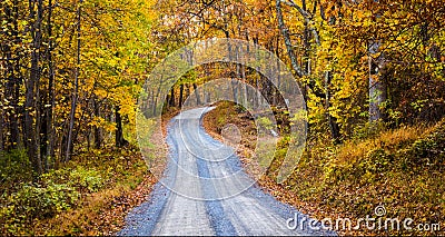 Autumn color along a dirt road in Frederick County, Maryland. Stock Photo