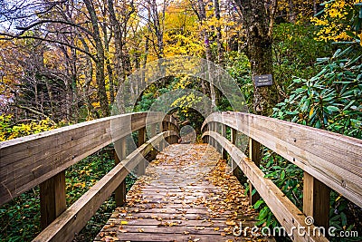 Autumn color and bridge on the Tanawha Trail, along the Blue Rid Stock Photo