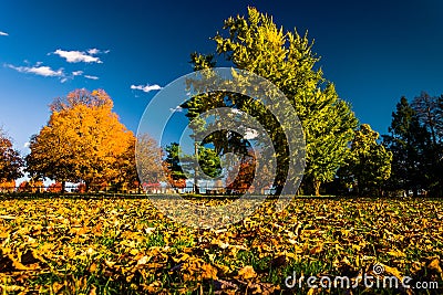 Autumn color at Gettysburg National Cemetery, Pennsylvania. Stock Photo