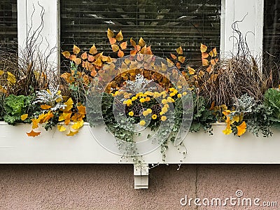 Autumn colored flowers in wooden flower box Stock Photo