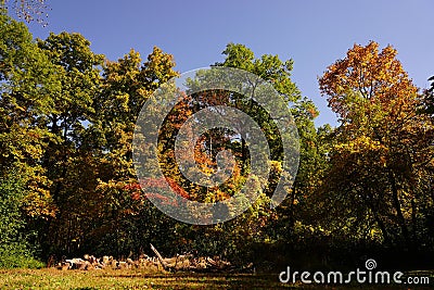 Autumn colored forest trees during October on a walking path Stock Photo