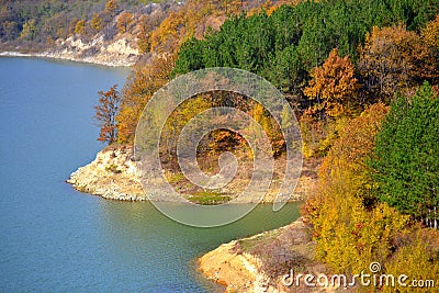 Autumn colored lakeside forest Stock Photo